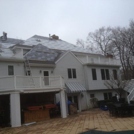 Freehold-72305843009213694489